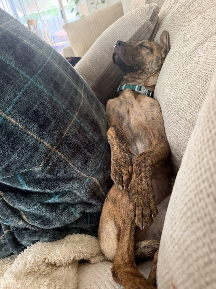 Strudel
