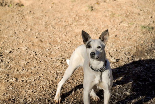 Ethel Mae photo 4