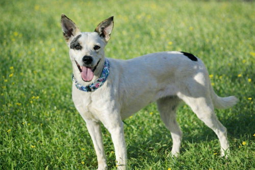 Ethel Mae