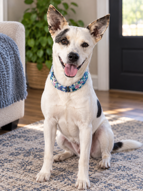 Ethel Mae