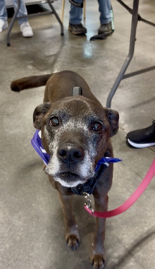 Mini photo 1