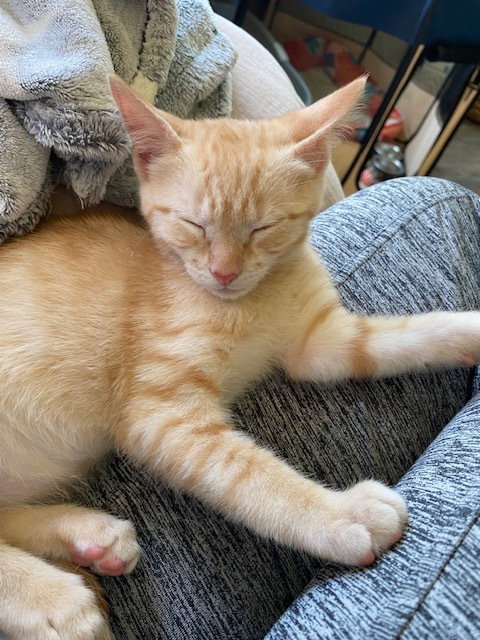 Wally photo 3