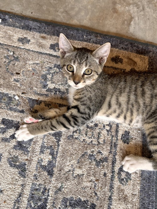 Luna