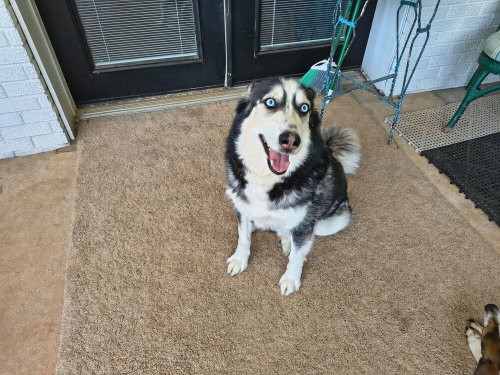 Marshall photo 1