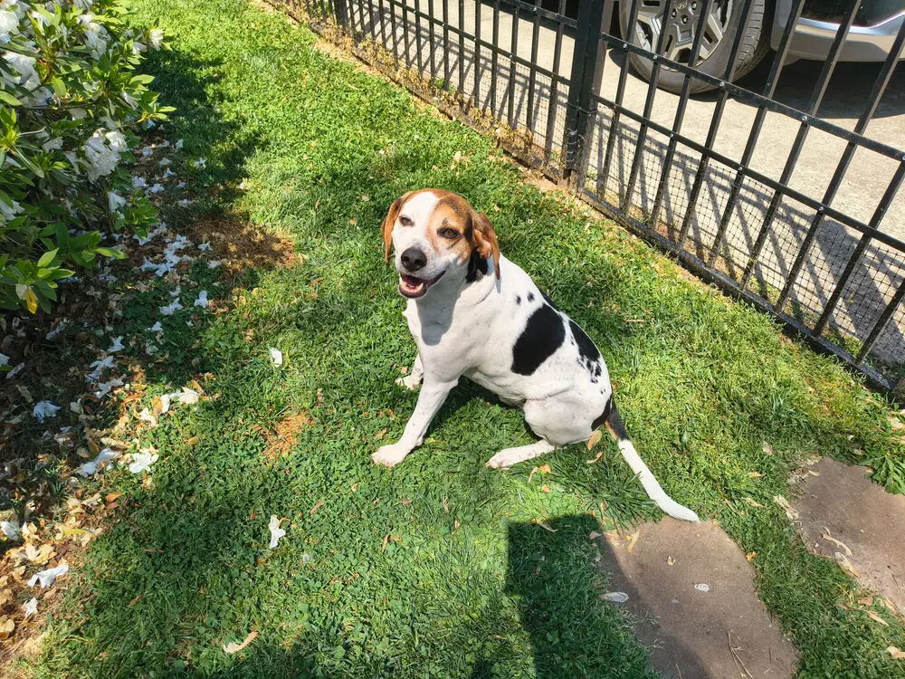 Lenny image 4