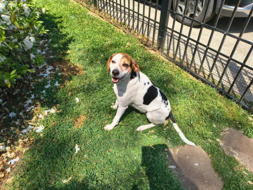 Lenny photo 3