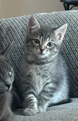 Ella