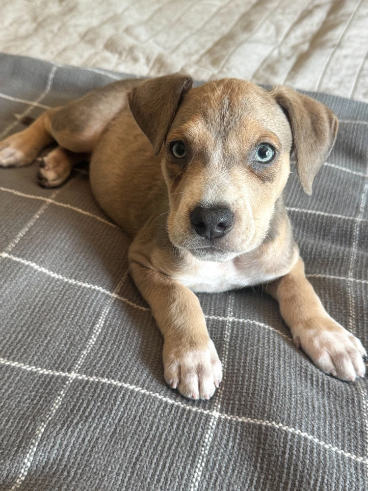 Charlie