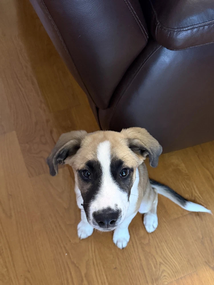 Jack
