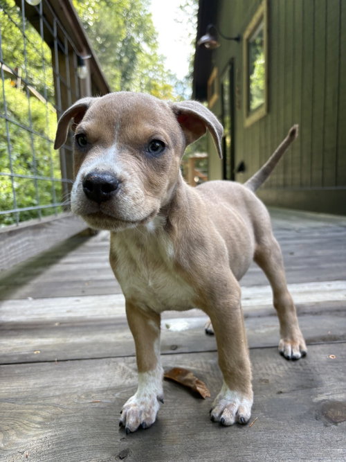 Photo 4 of Milo