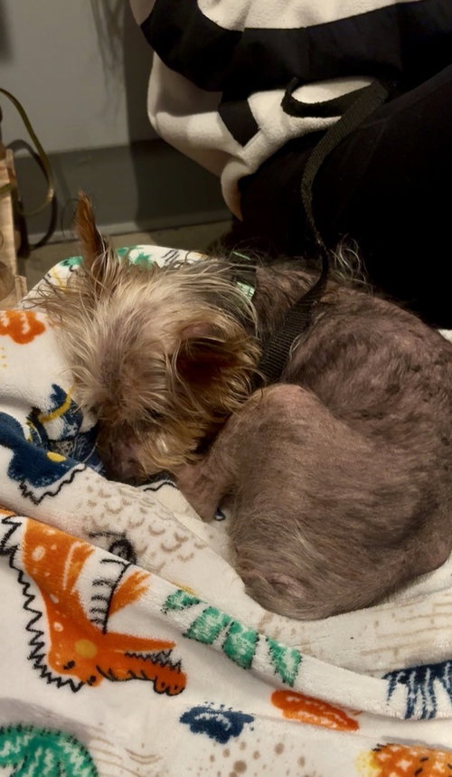 Reggie photo 3