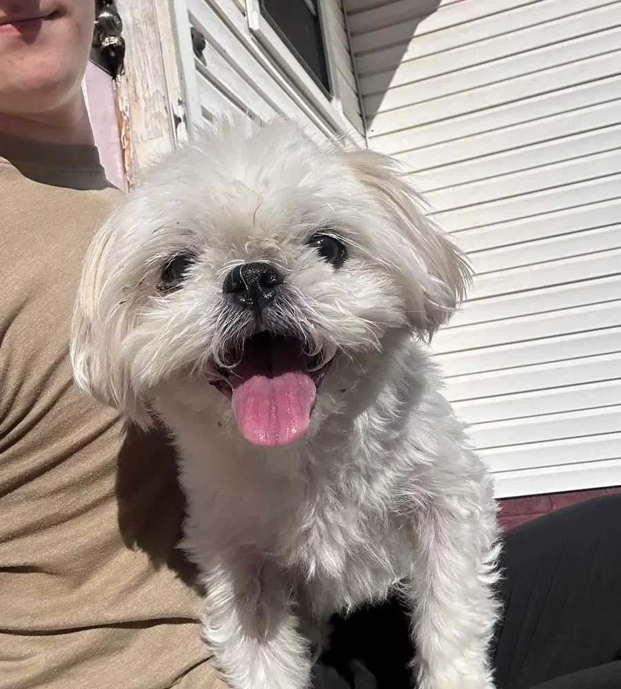 Winnie image 3