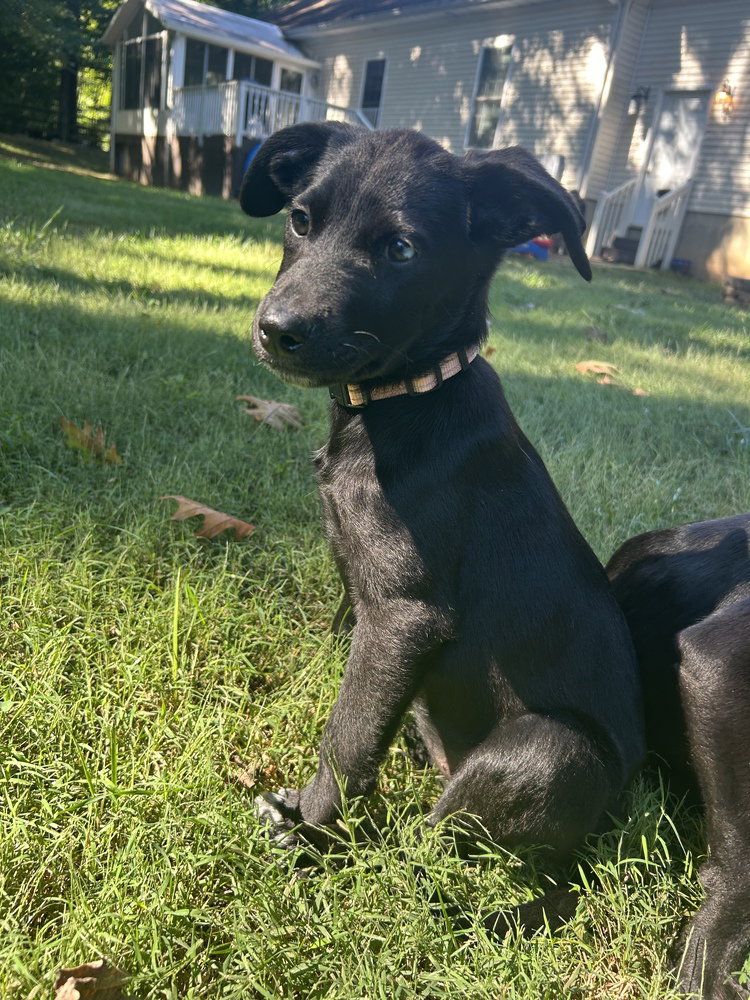 Frannie, photo 2