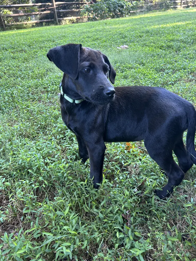 Winnie image 2