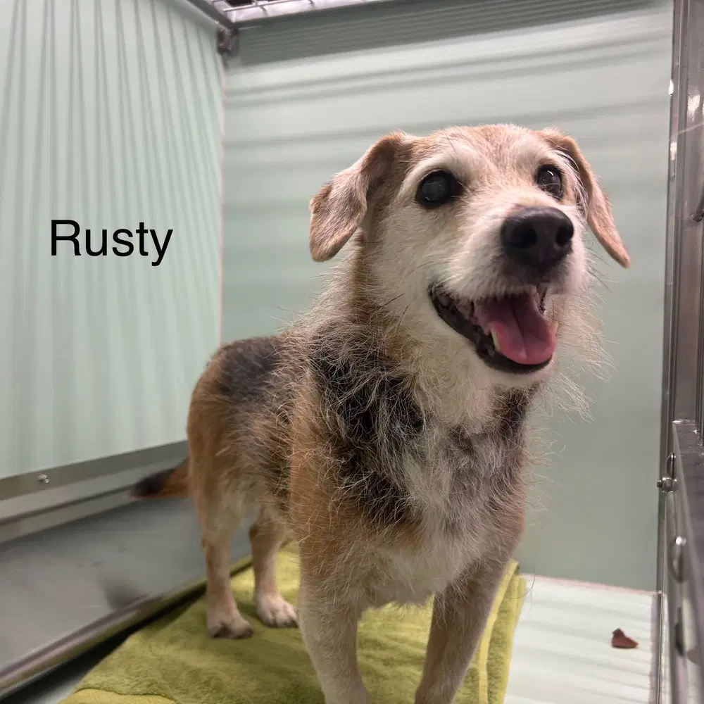 Rusty image 2