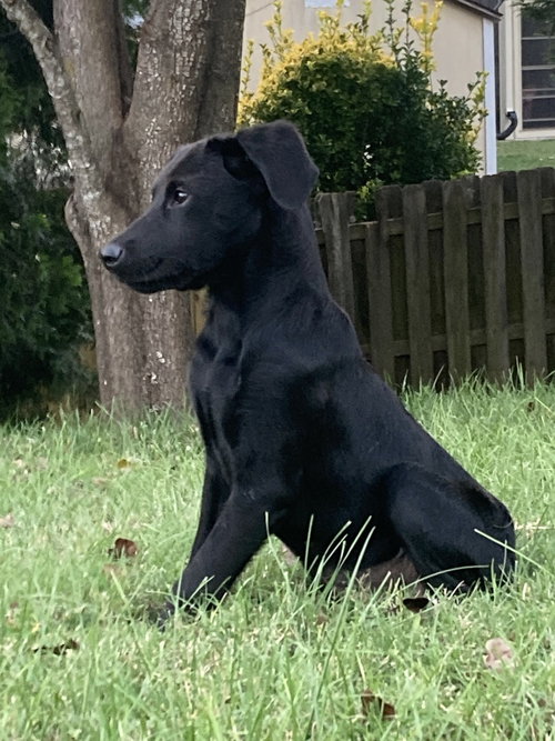 Photo 3 of Olive