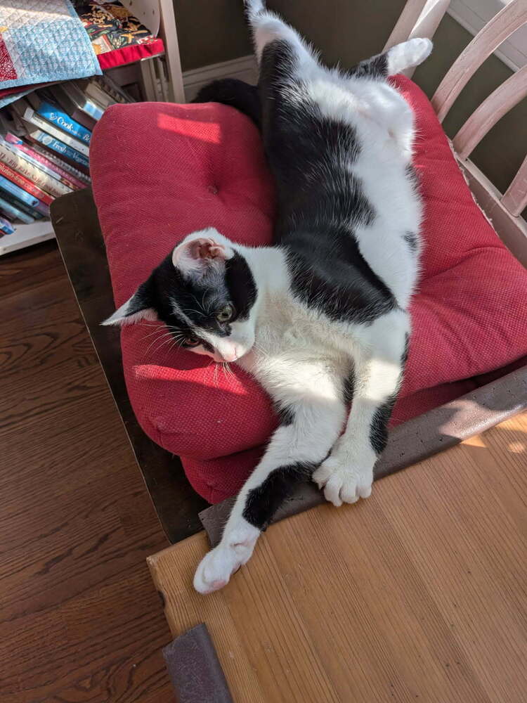 Minnie