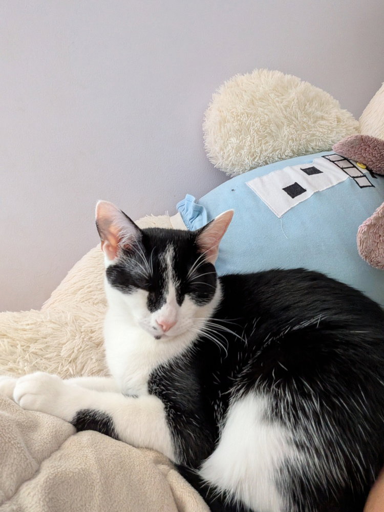 Minnie, photo 2