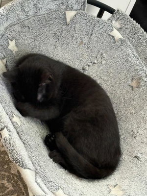 Splat, photo 3