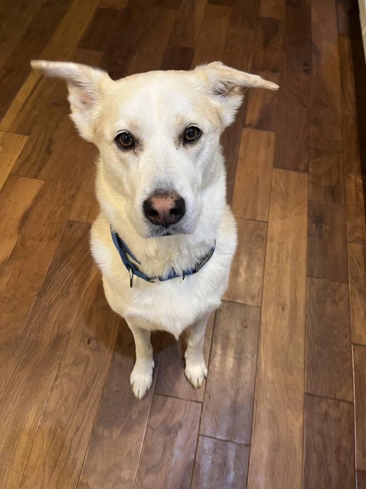 Max