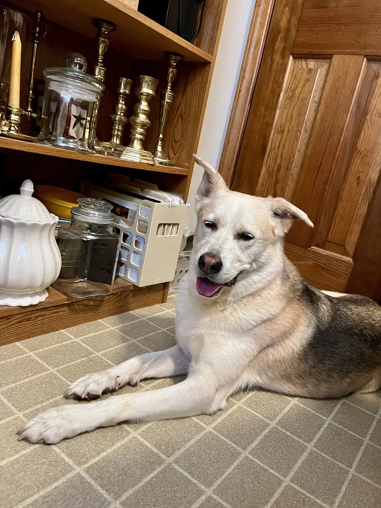 Max image 2