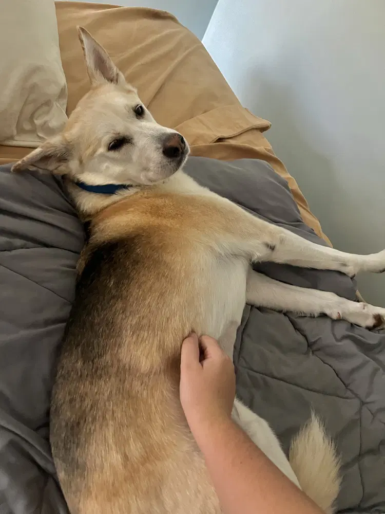 Max image 4