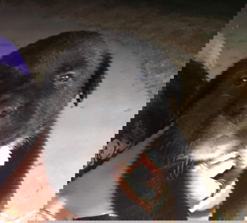 Boo
