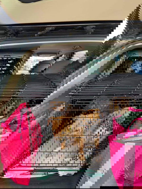 Peter