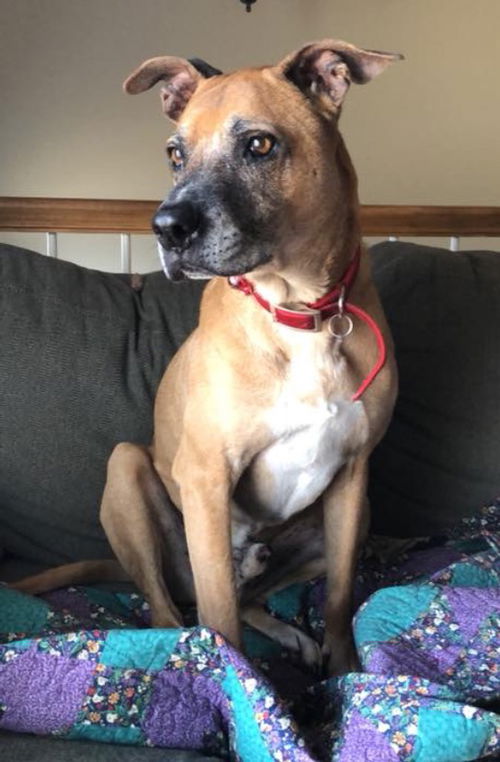 Max