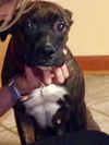 Molly