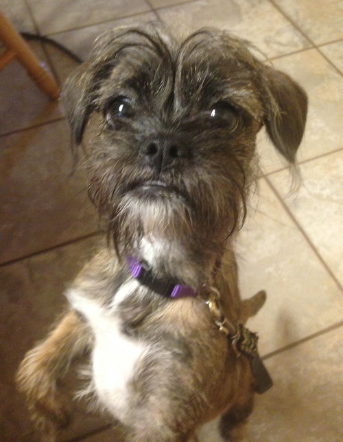Matilda