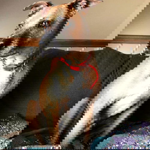 Max