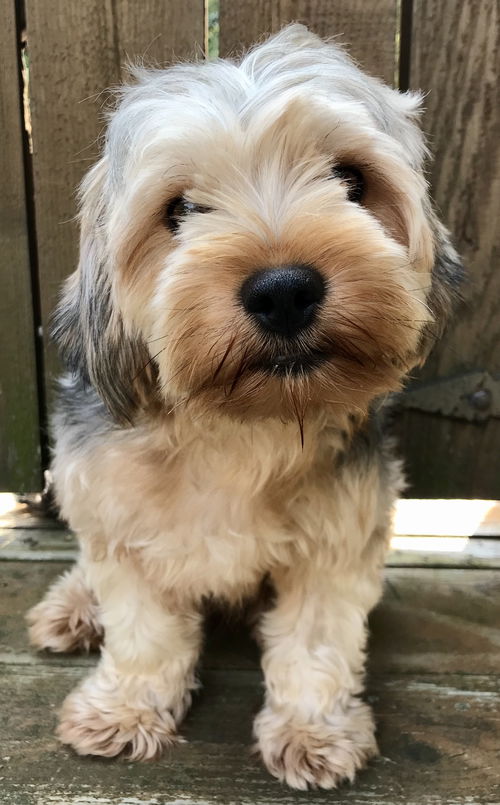 Murphy