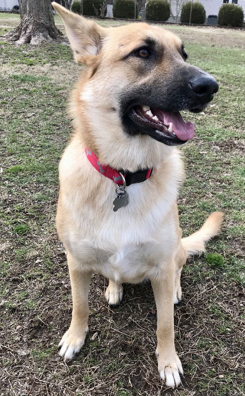 Luna