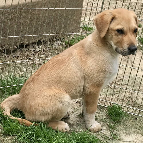 Max