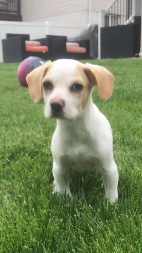 Fiona
