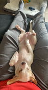 Fiona