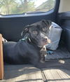 Lucas AKA Moose