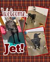 Jett