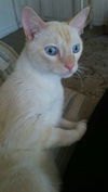 jeffrey