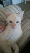 jeffrey