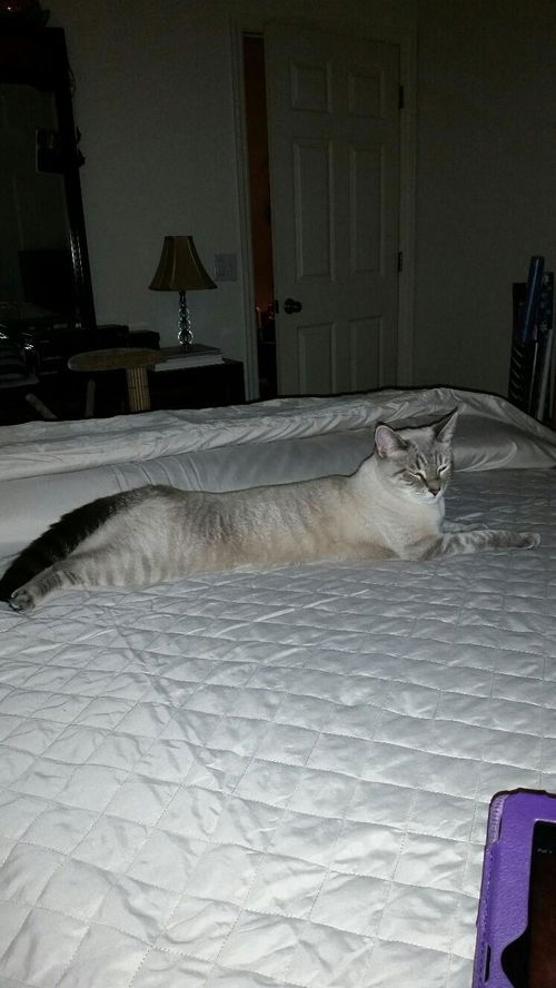 Jax