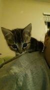 Charlie