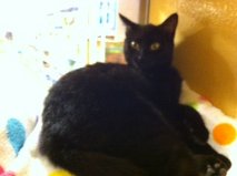 Thelma