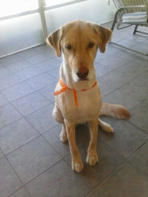 BAILEY