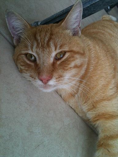 charlie