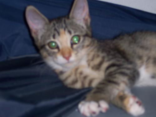 Martie