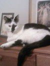 Katie