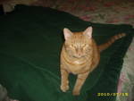 Thomas