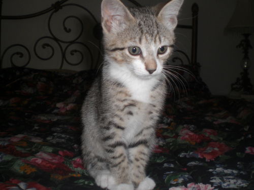 Thelma
